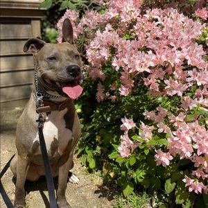 Meet your Posher, Loryn